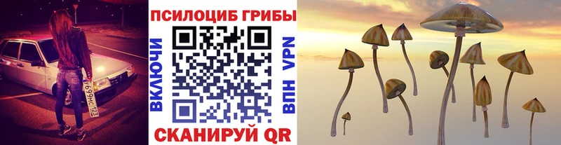 Купить закладки  Ужур  Псилоцибиновые грибы Cubensis 